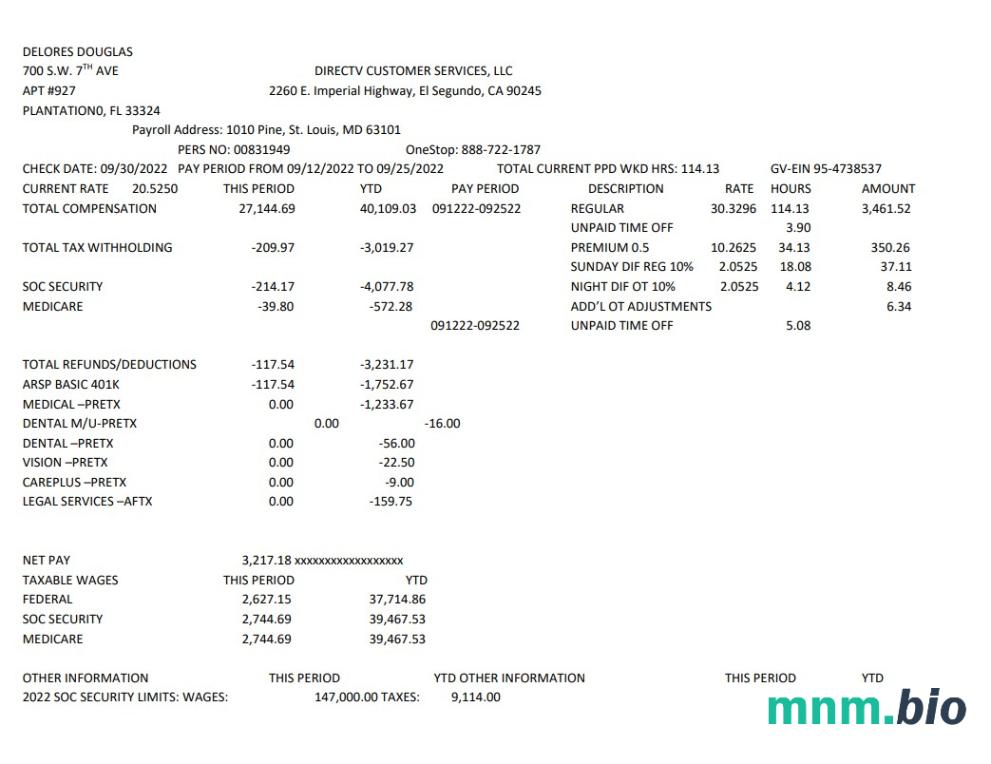 Szablon Delores Douglas paystub w formatach Word i PDF